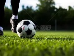 重磅,国际名帅迈,克尔,亚博体育登录入口,亚博体育平台,亚博体育注册网址,亚博体育app,亚博体育官网,亚博体育网站,亚博体育网页版