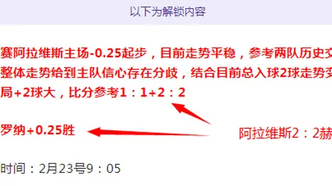 篮球赛事解析：湖人火箭深度分析，同步赛事节奏